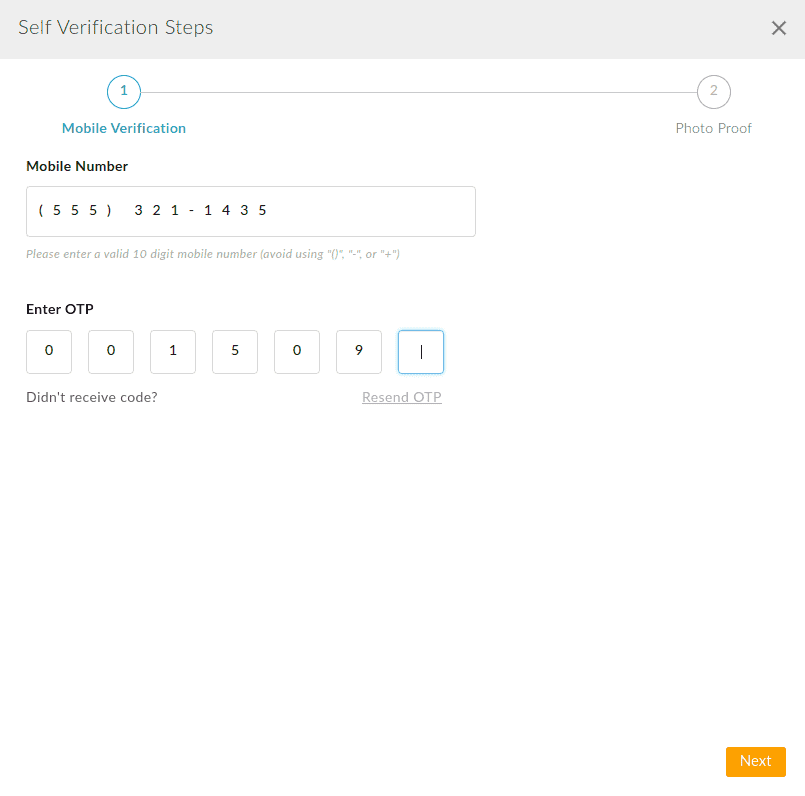 Self-Verification Steps
