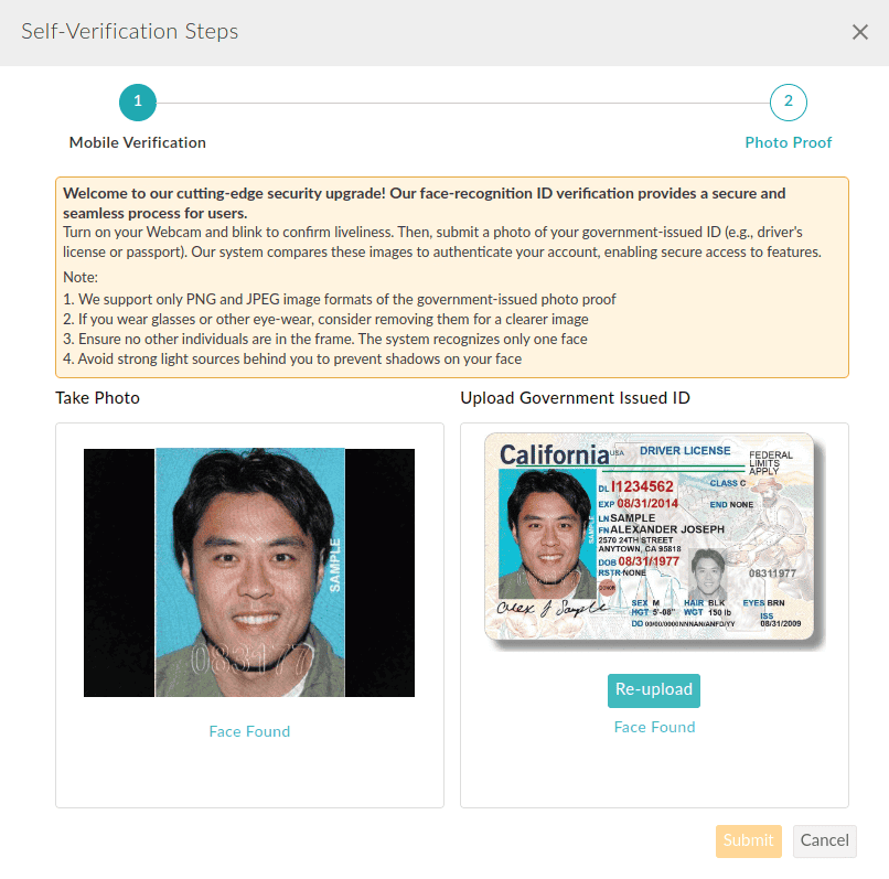 Self-Verification Steps