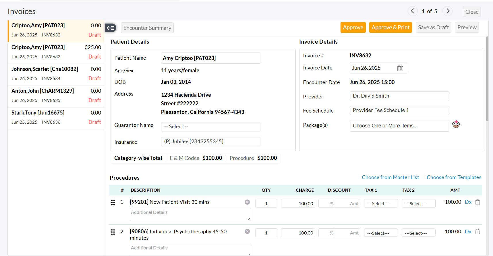Bulk Invoices Preview
