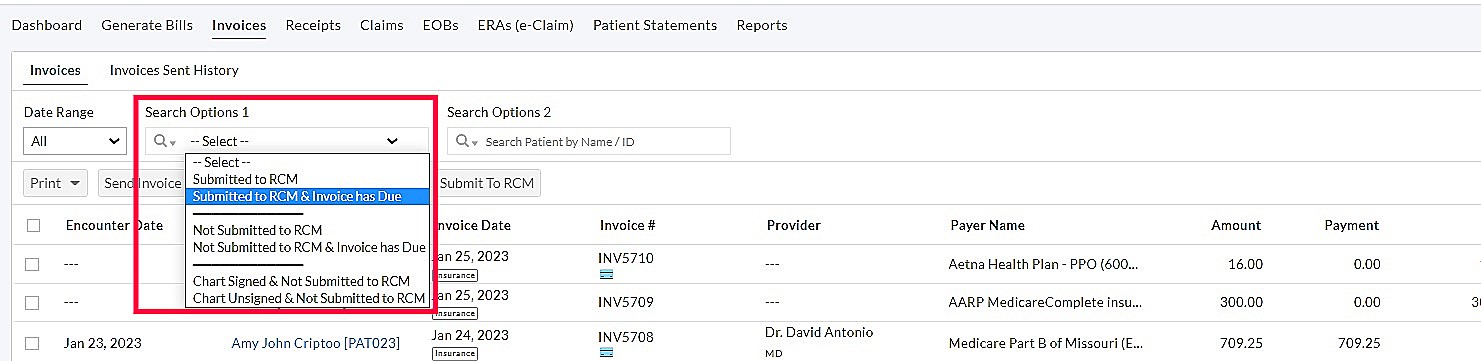 Invoice Search Options