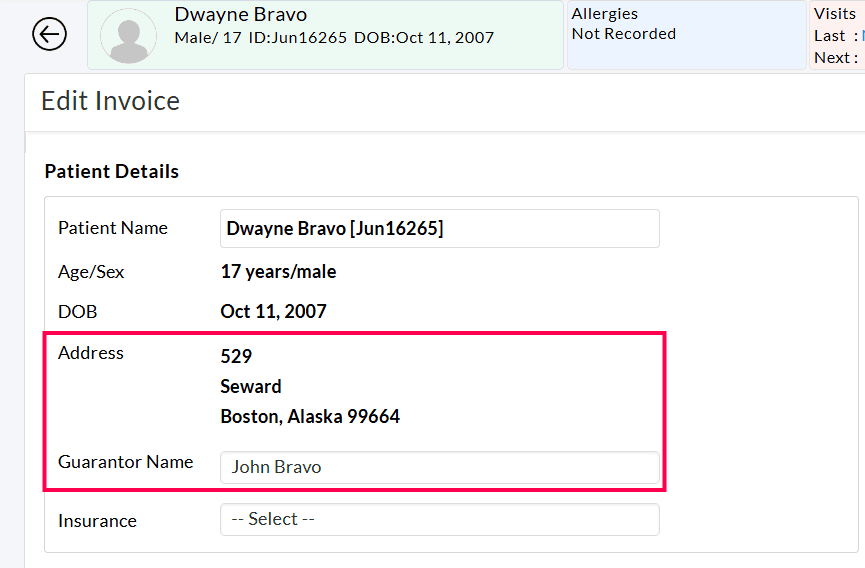 Invoice Summary Guarantor Details