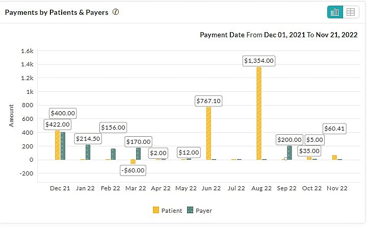 Payments by Patients and Payers